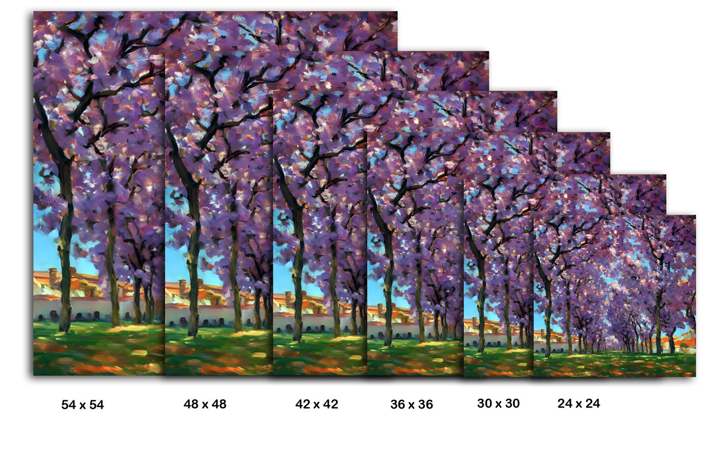 Cherry Trees Blossoming