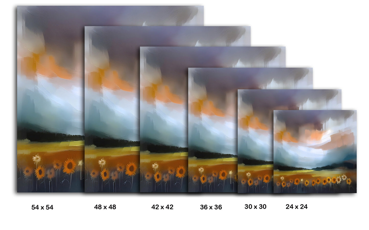 Sunflower Fields In Provence