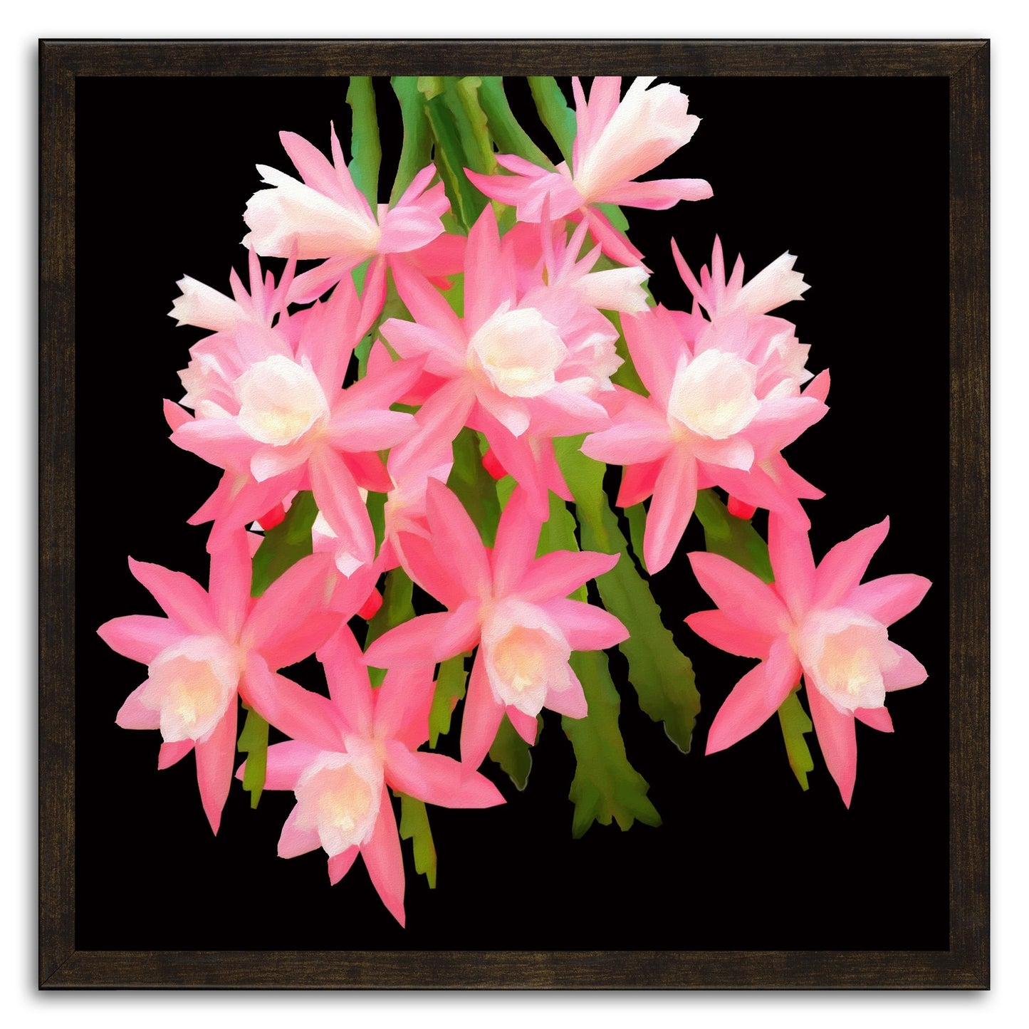 Cactus Flowers 483