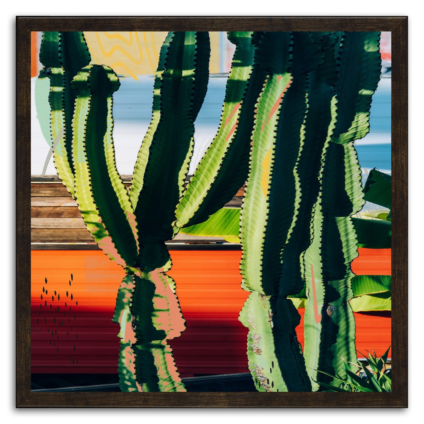 Cactus Garden 130
