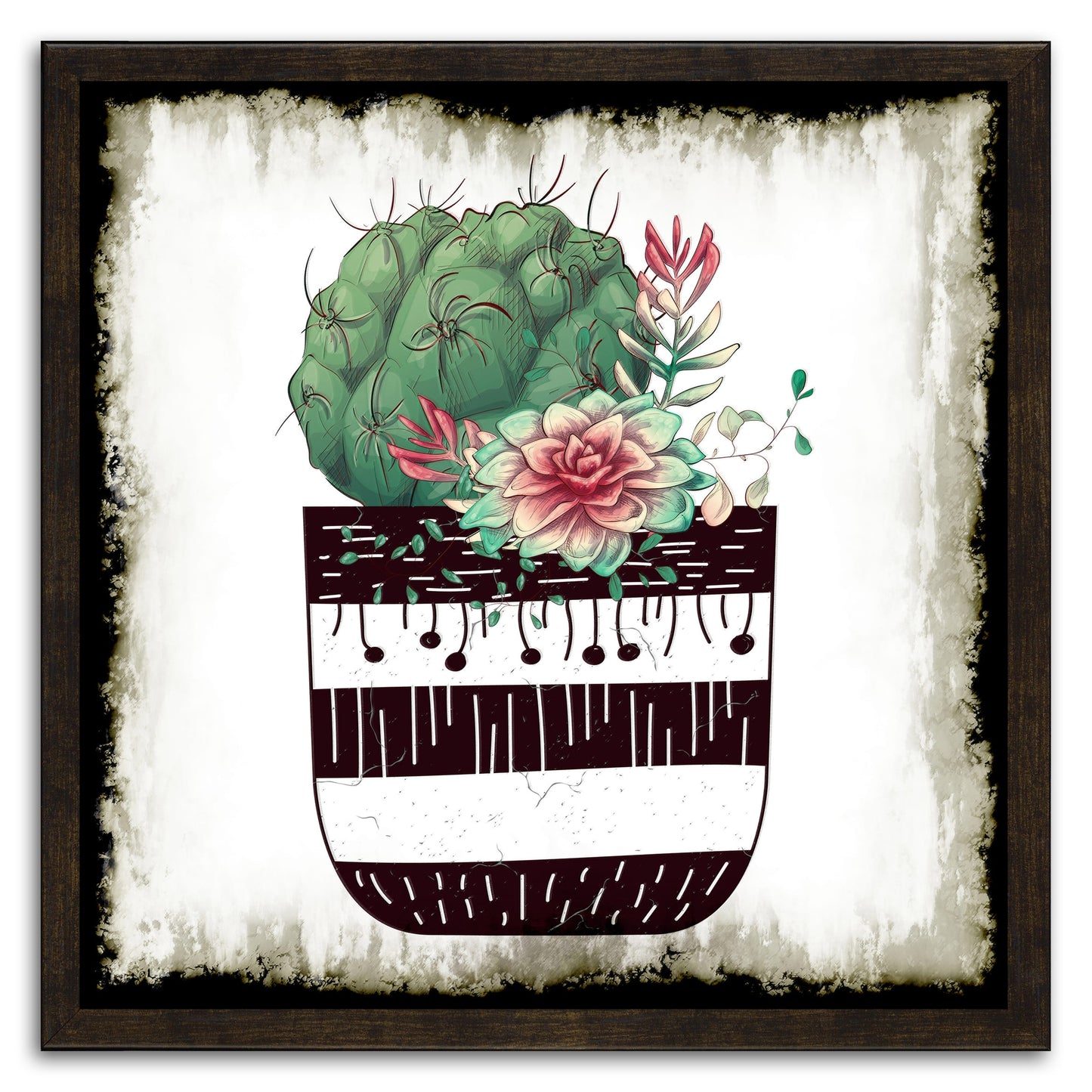 Cactus Succulents 649