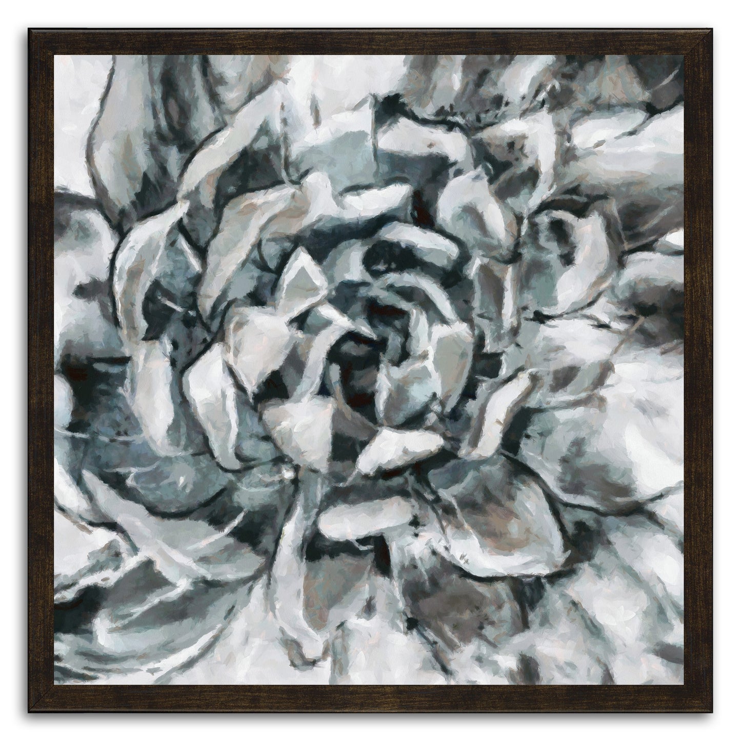 Cereus Aeonium