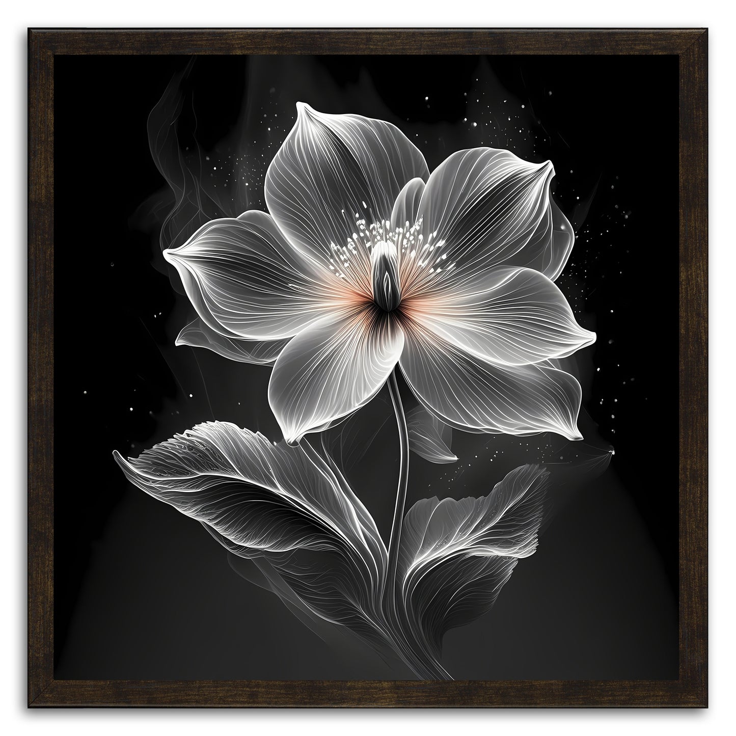 Xray Jasmine I