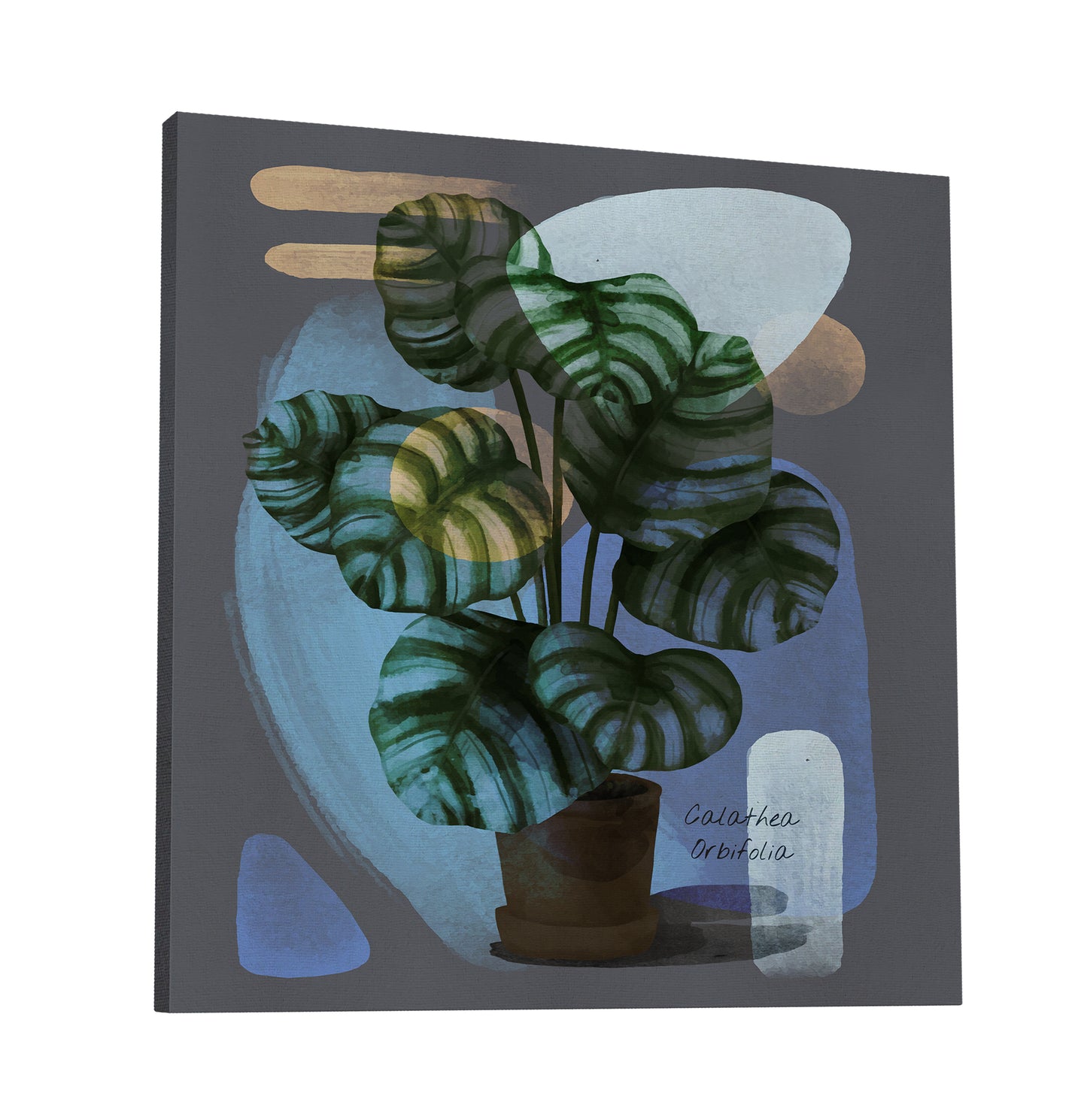 Abstract Calathea Orbifolia Painting Print