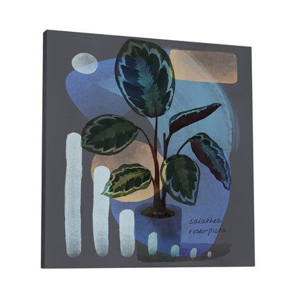 Abstract Calathea Roseo-Picta Painting Print