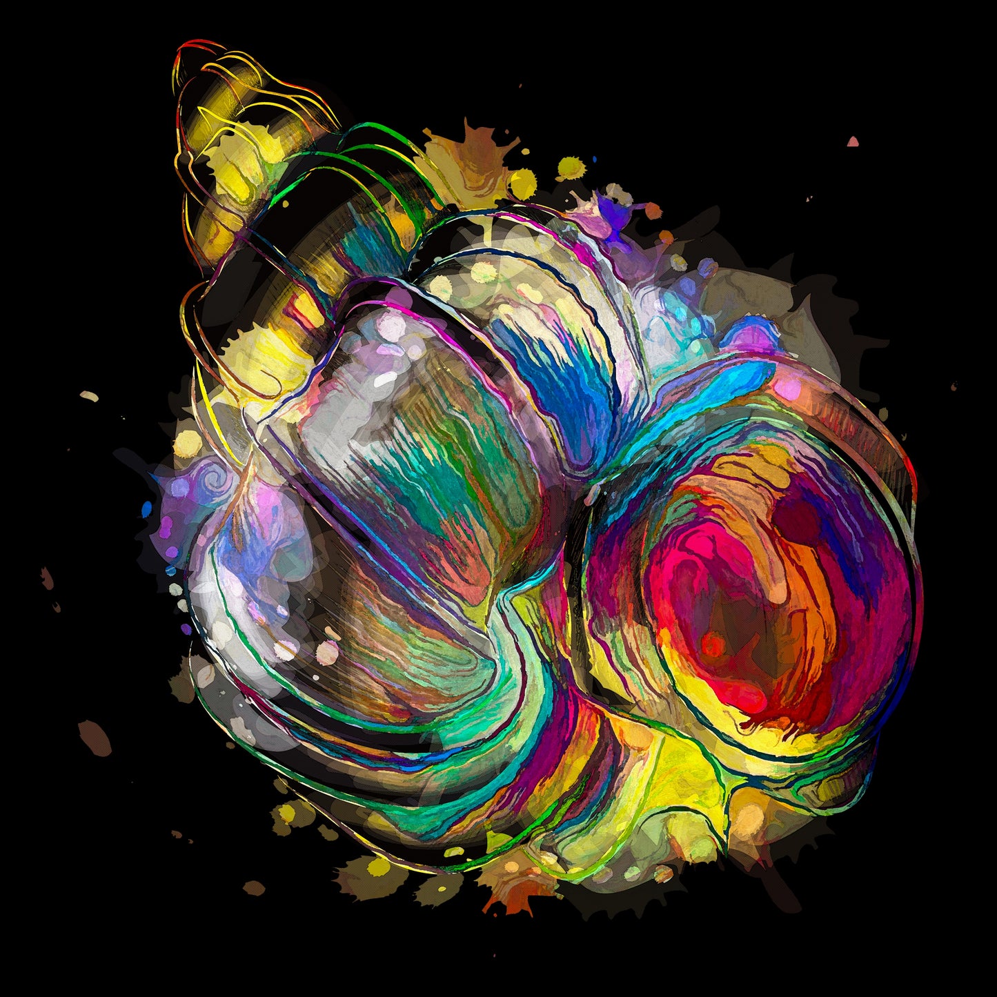 Boho Conch Shell 151