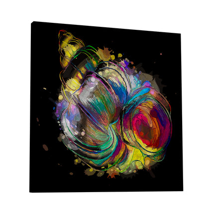 Boho Conch Shell 151