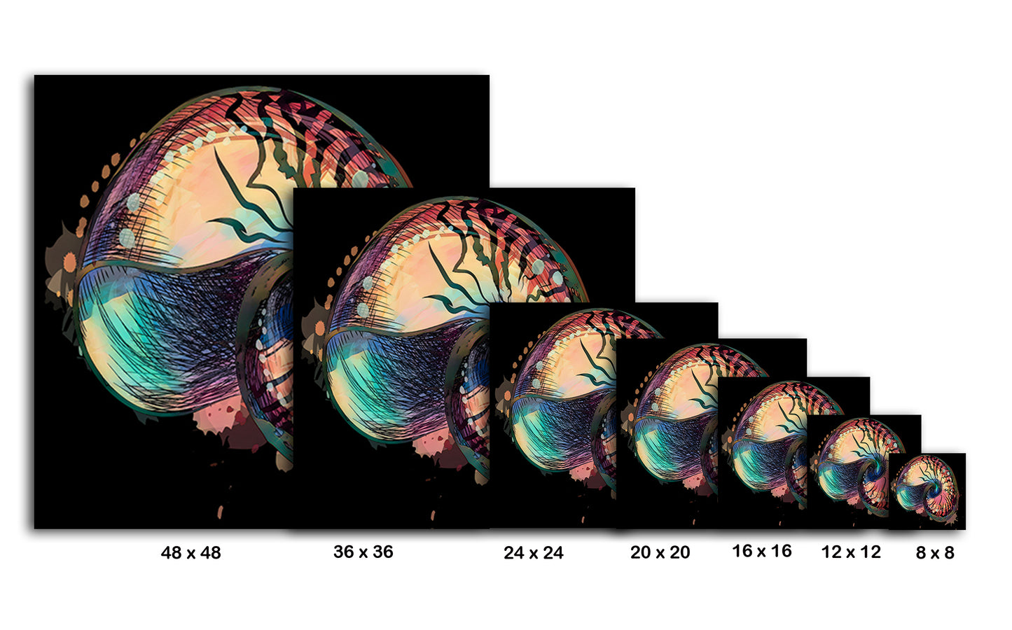 Boho Nautilus Shell 248