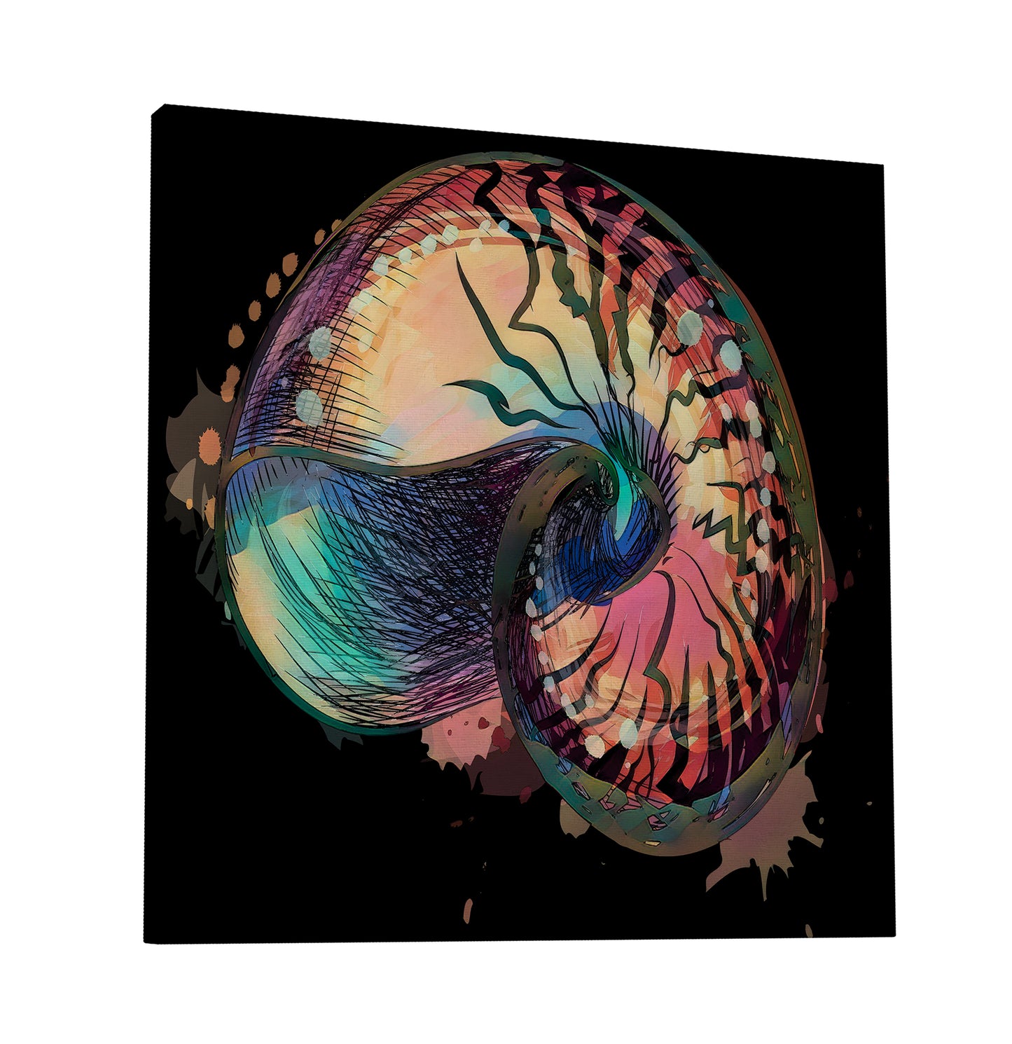 Boho Nautilus Shell 248