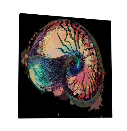Boho Nautilus Shell 248