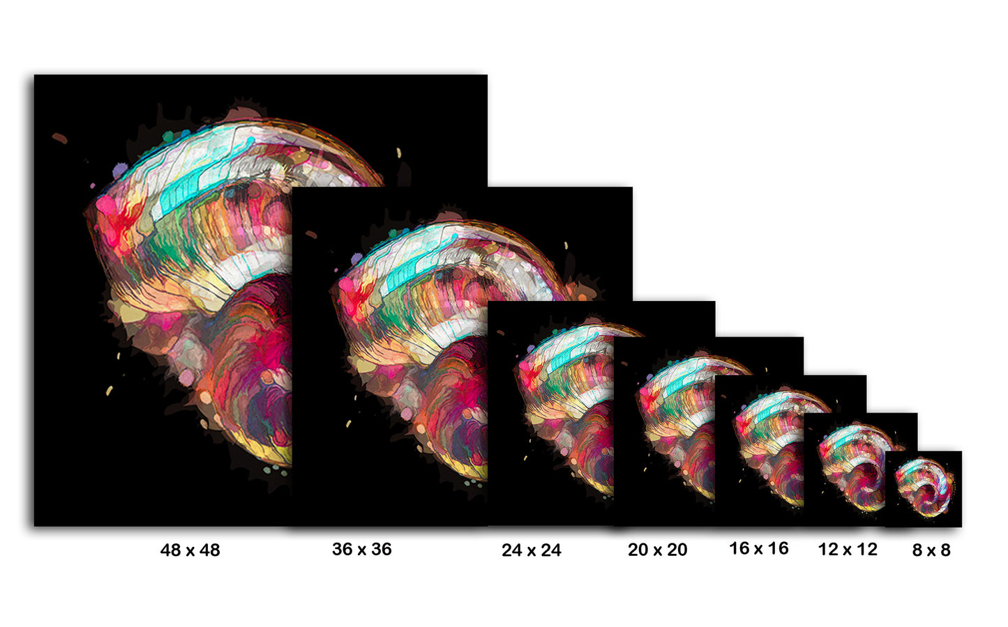 Boho Nautilus Shell 249