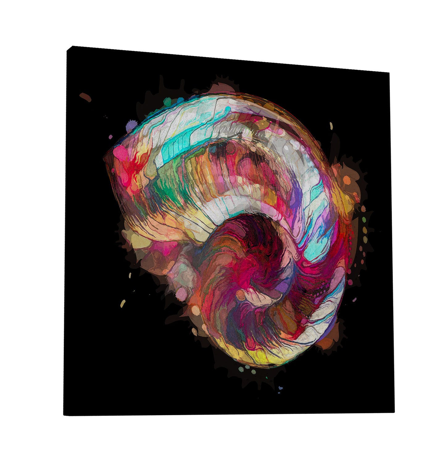 Boho Nautilus Shell 249