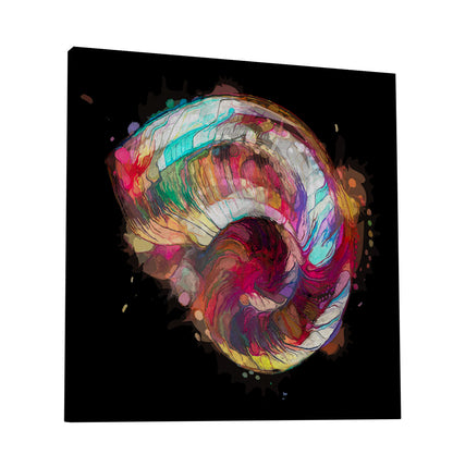 Boho Nautilus Shell 249