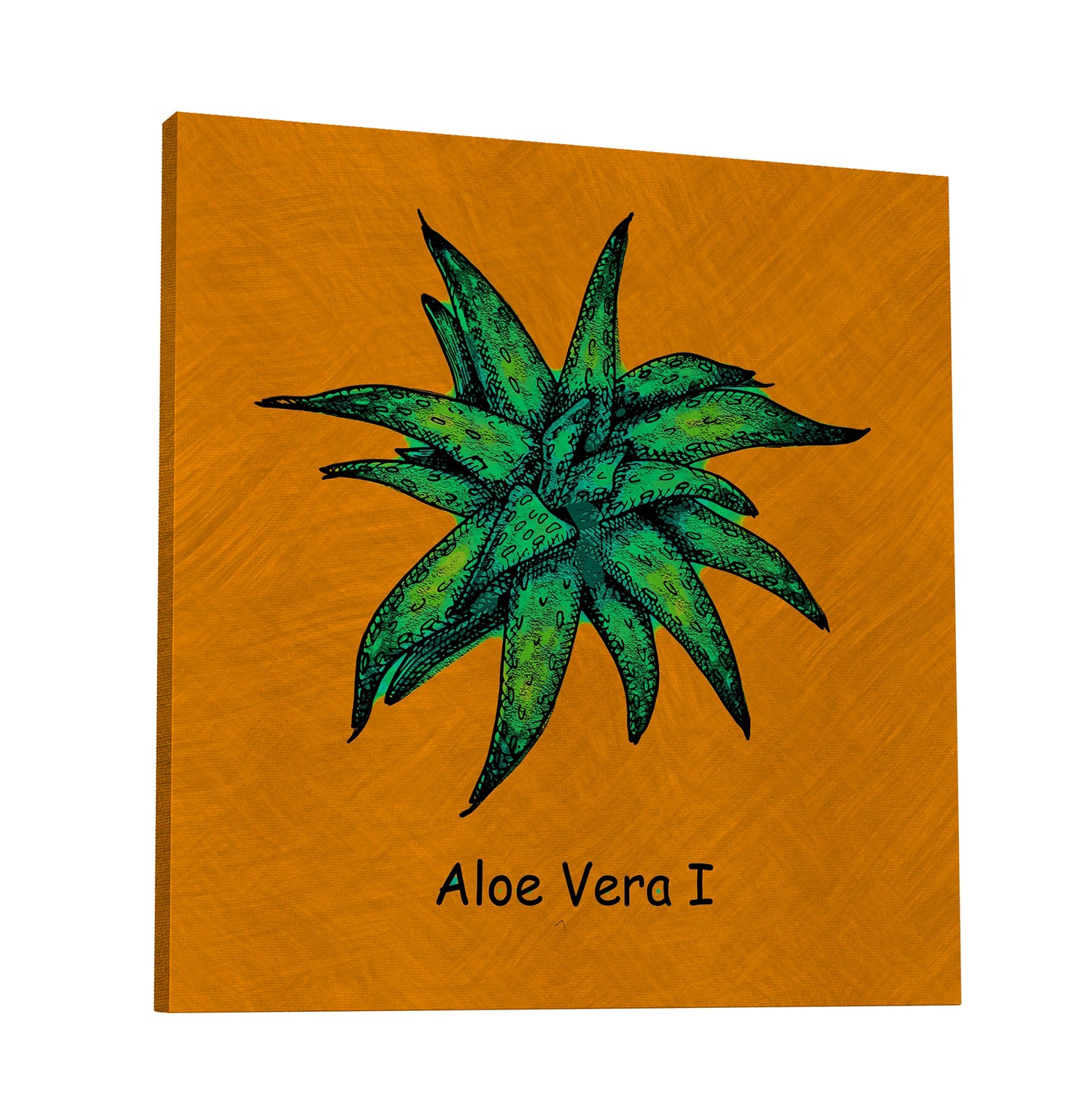 Abstract Aloe Vera I