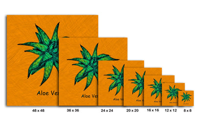 Abstract Aloe Vera I