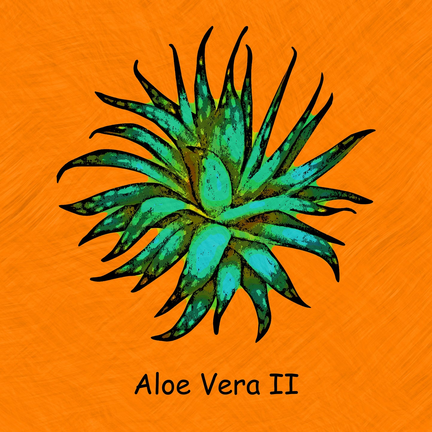 Abstract Aloe Vera II