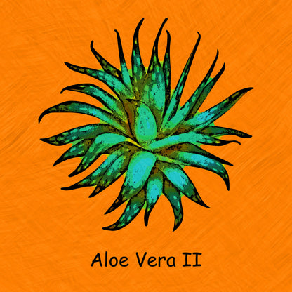 Abstract Aloe Vera II