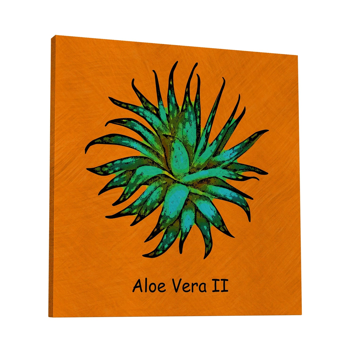 Abstract Aloe Vera II
