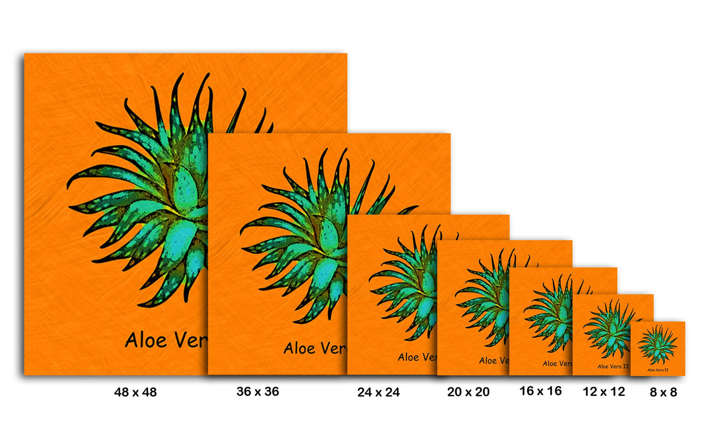 Abstract Aloe Vera II