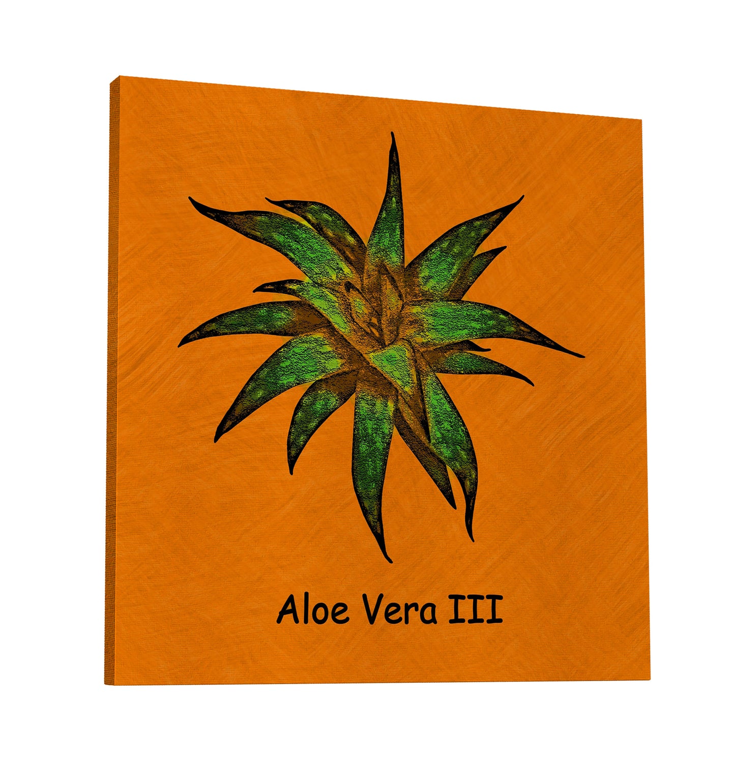 Abstract Aloe Vera III
