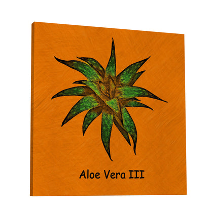 Abstract Aloe Vera III