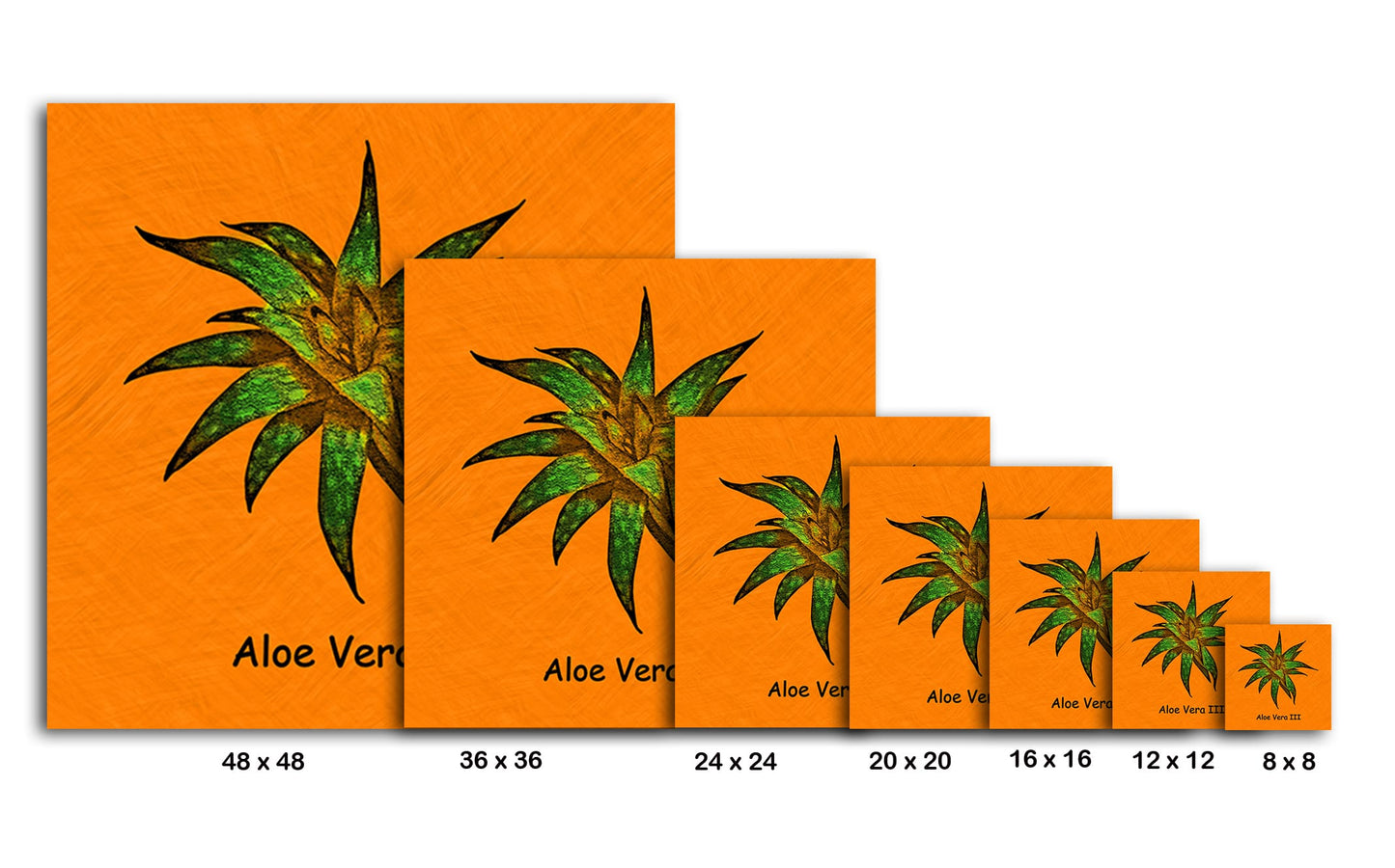 Abstract Aloe Vera III
