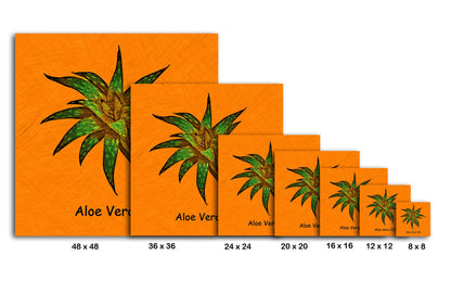 Abstract Aloe Vera III