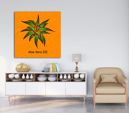 Abstract Aloe Vera III