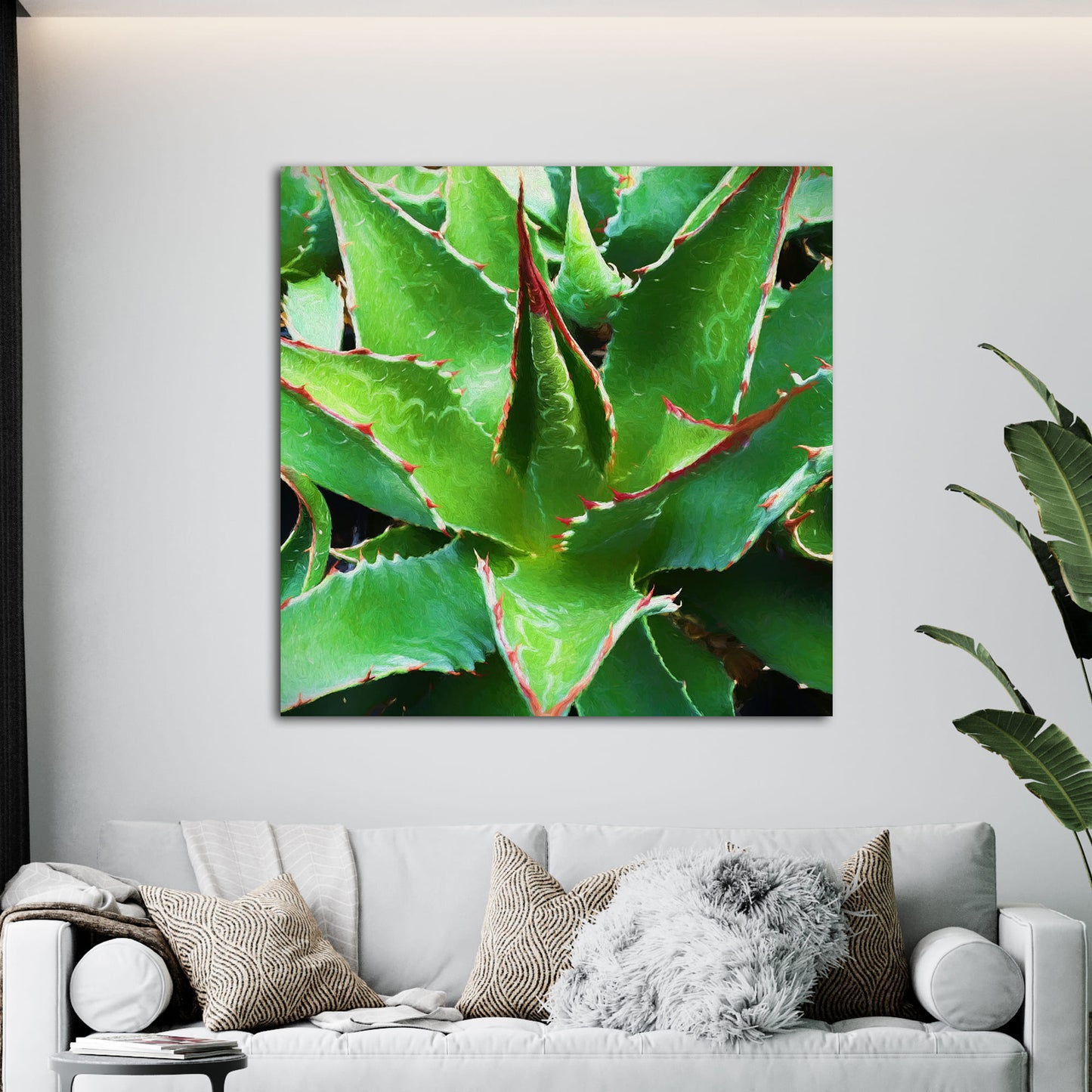 Agave Montana