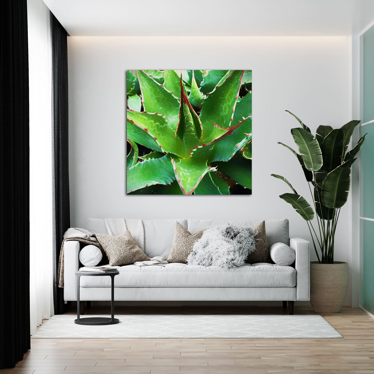 Agave Montana