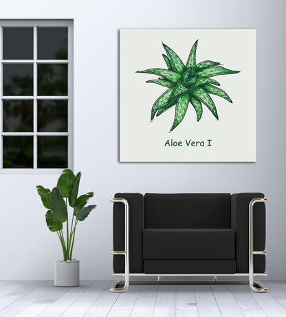 Aloe Vera I