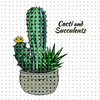 Cacti And Succulents 41