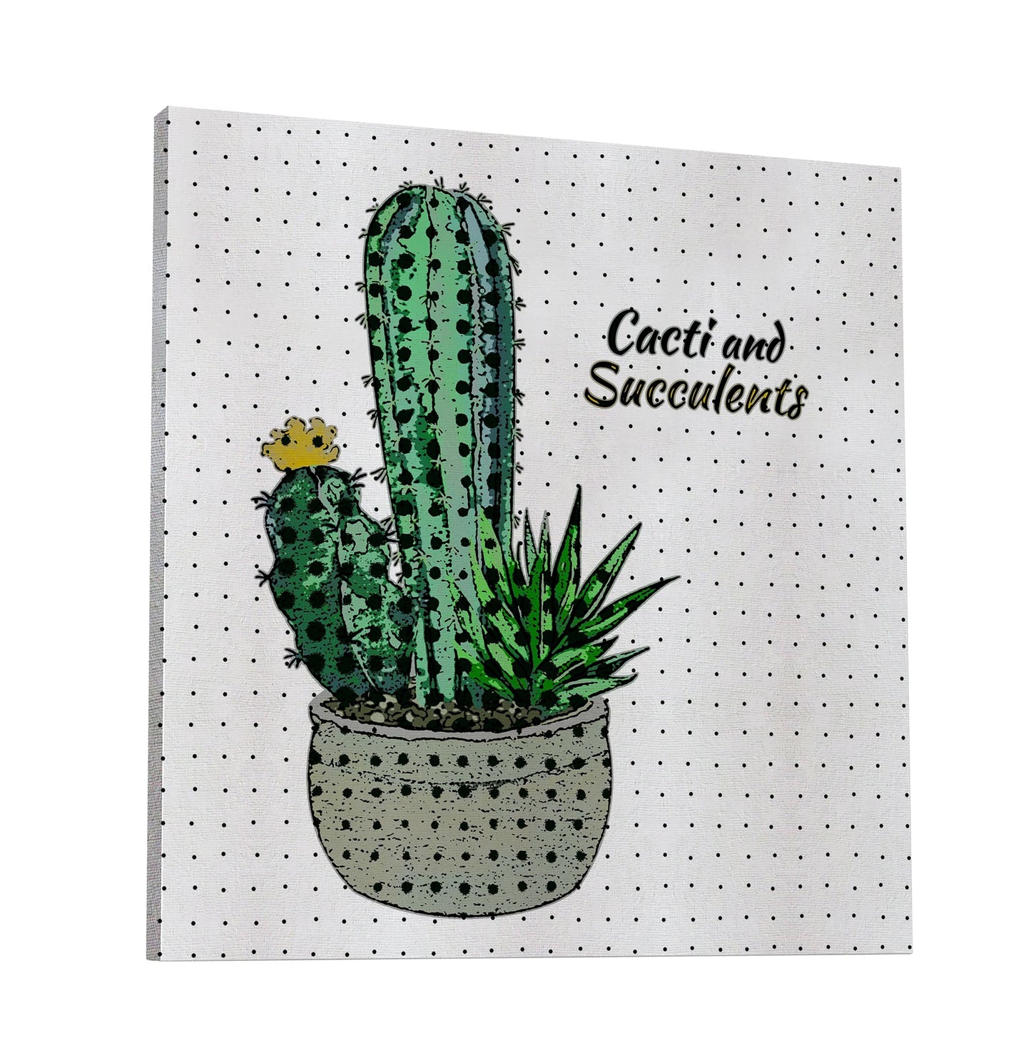 Cacti And Succulents 41