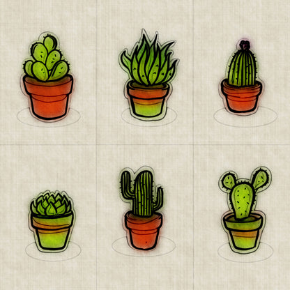 Cacti Collection
