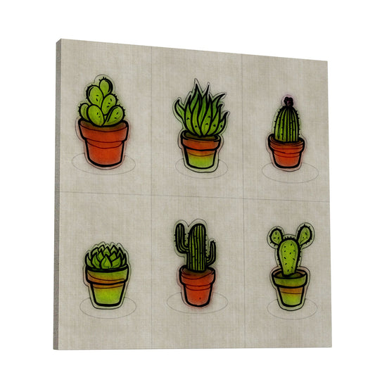 Cacti Collection
