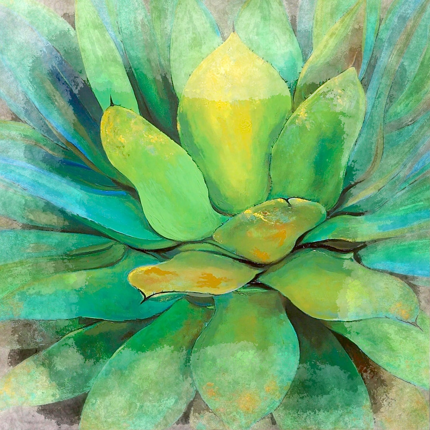 Cactus