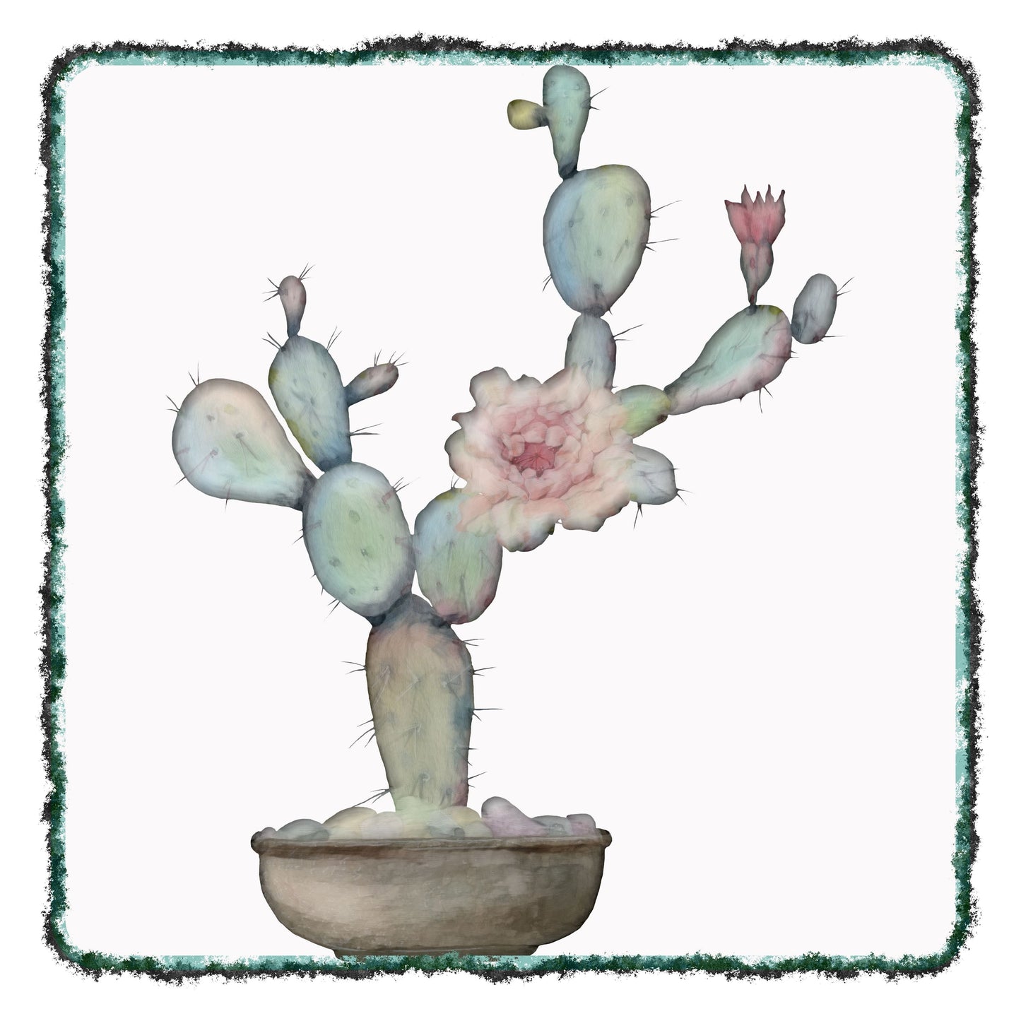 Cactus 534