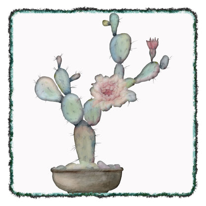 Cactus 534