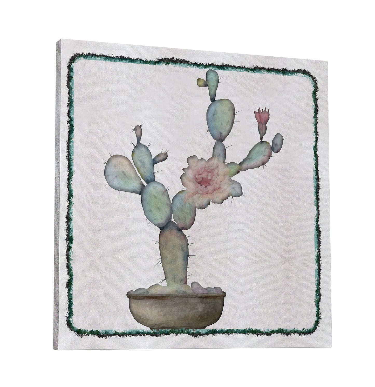 Cactus 534