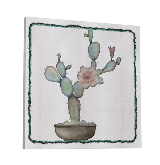 Cactus 534