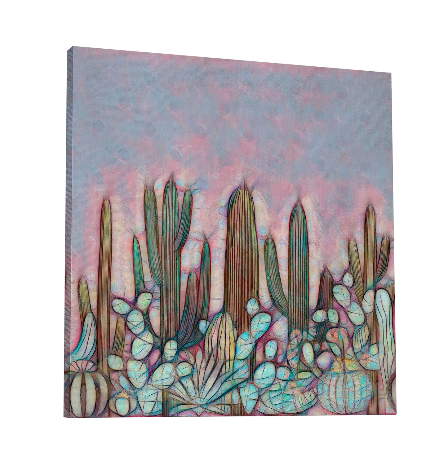 Cactus 536