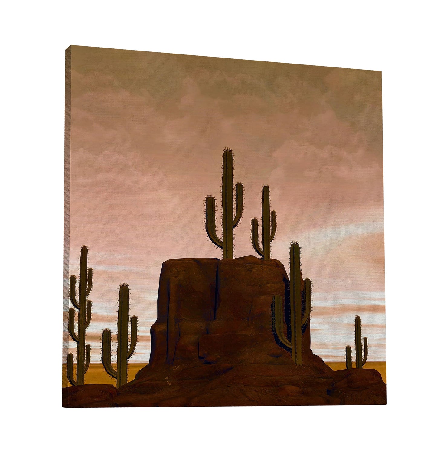 Cactus Canyon I