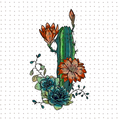 Cactus Flowers 462