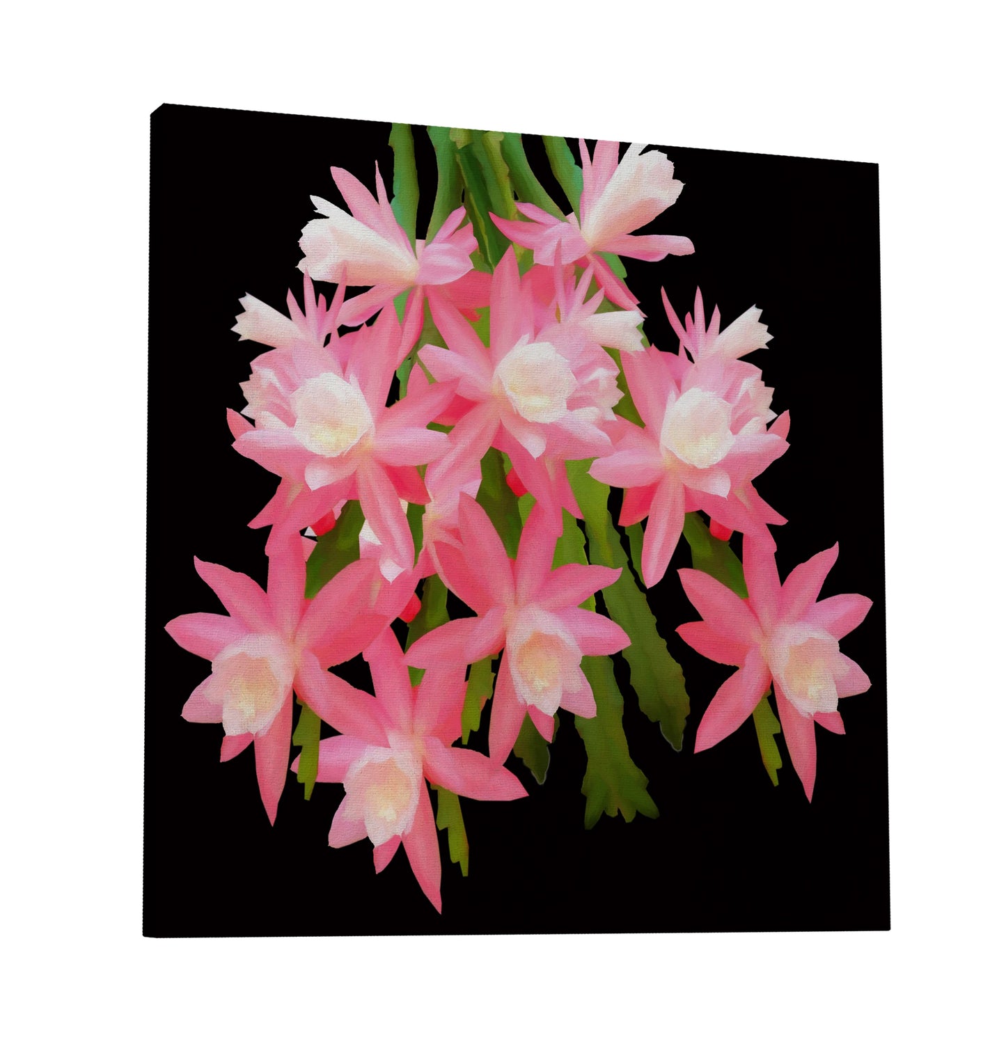 Cactus Flowers 483