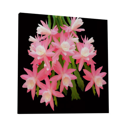 Cactus Flowers 483