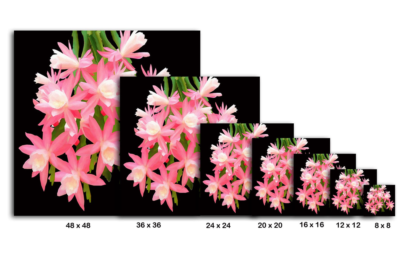 Cactus Flowers 483