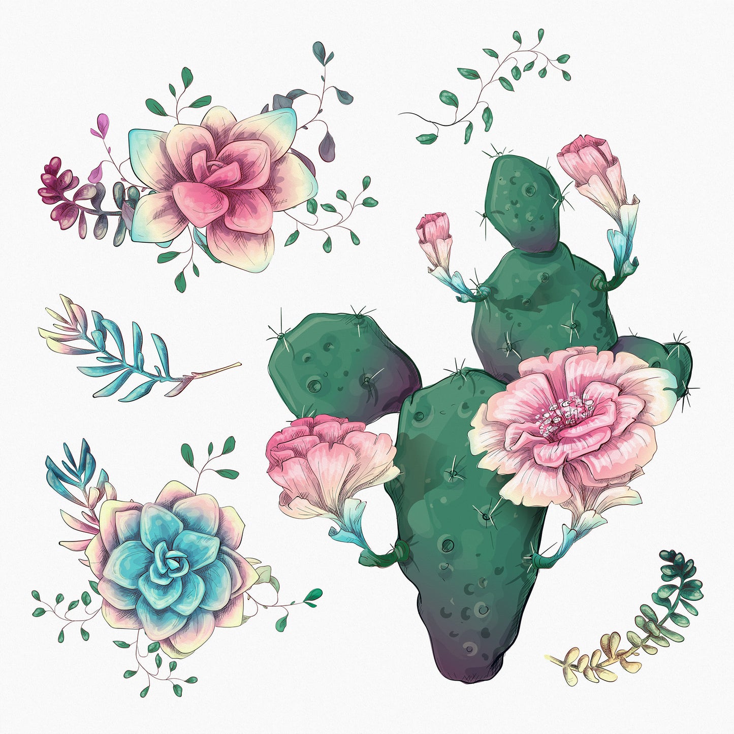 Cactus Flowers 761