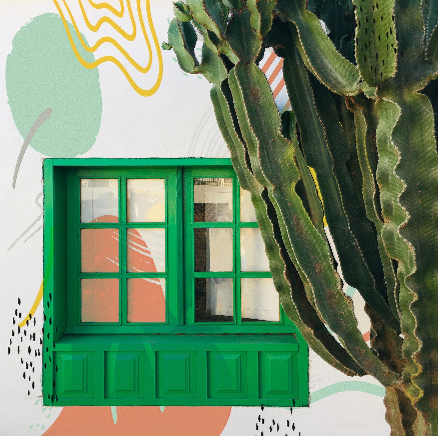Cactus Garden View 129
