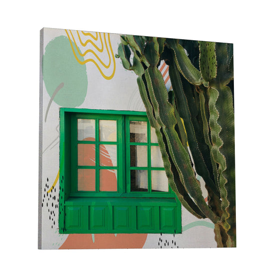 Cactus Garden View 129