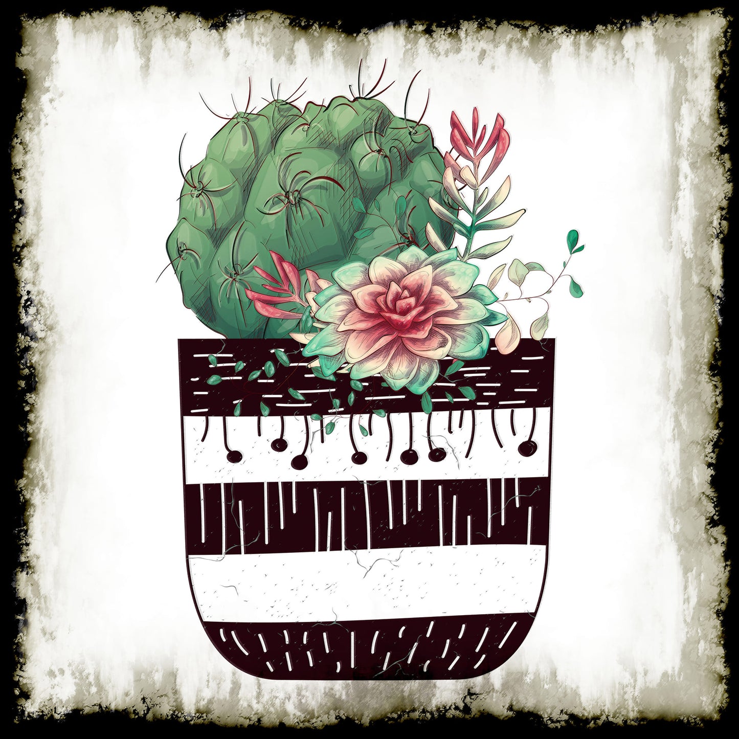 Cactus Succulents 649